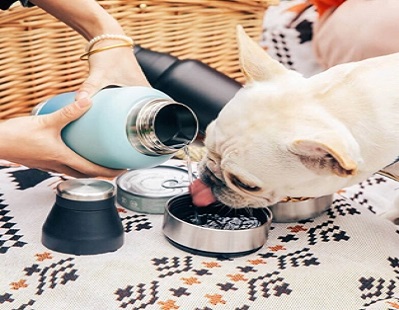 Everich Dog Water Bottle: ペットの健康と幸福を優先する