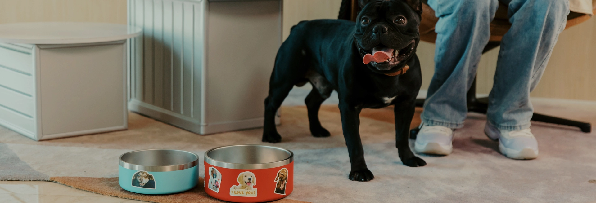 工場直接価格で卸売ペットボウル